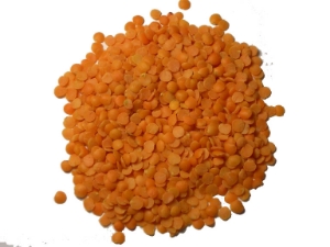 Picture of Masoor Dal (red Lentils) - 50Lb